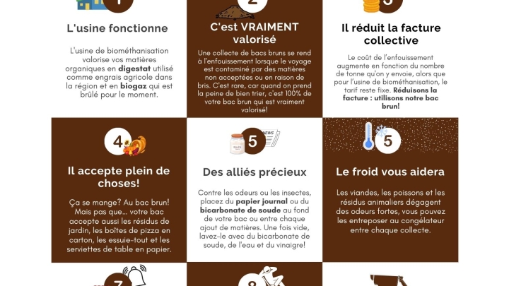 Infos  bac brun
