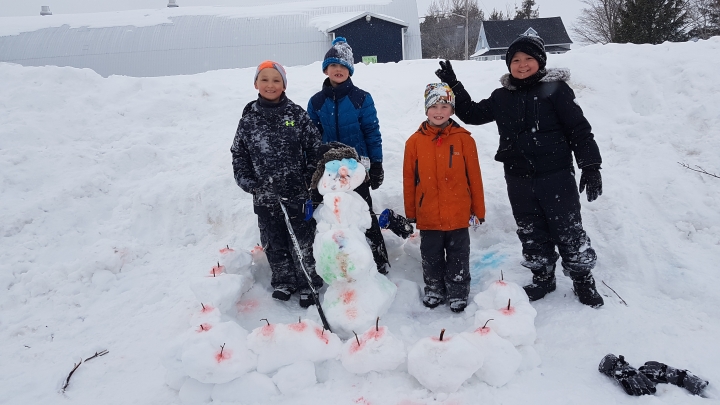 PROGRAMMATION DE LOISIRS HIVERNAL