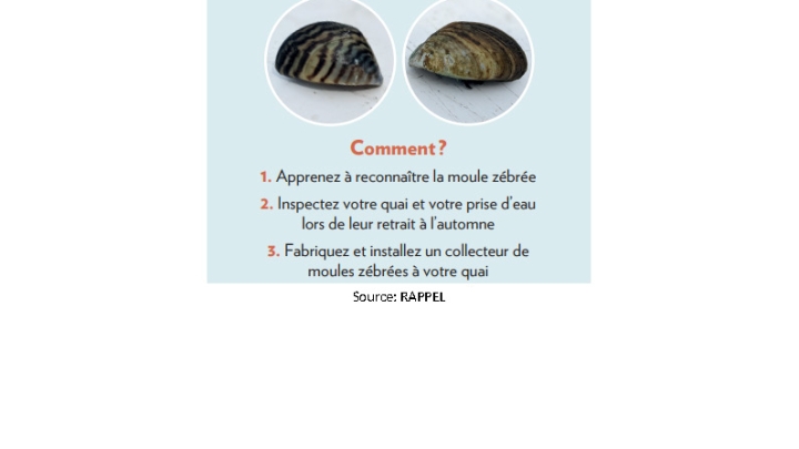 Comme pour les mains en temps de COVID, lavez vos bateaux en rentrant et sortant des plans d'eau