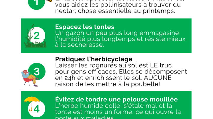 Écobulletin de mai 2025