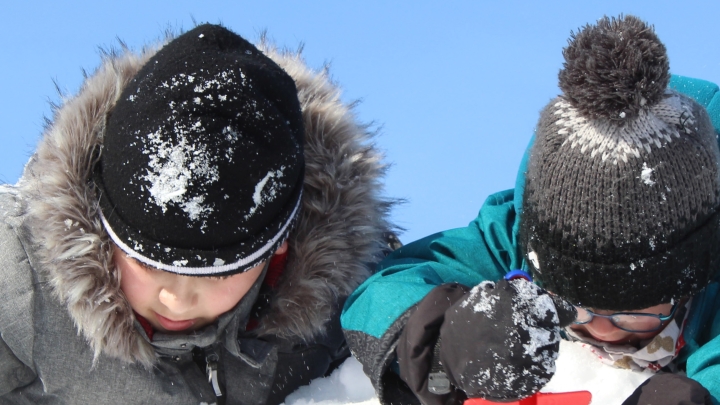 PROGRAMMATION DE LOISIRS HIVERNAL