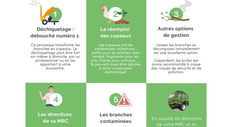 Écobulletin - Co-Éco