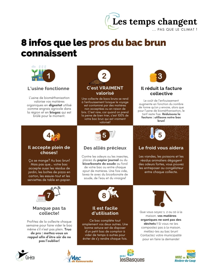 Infos  bac brun