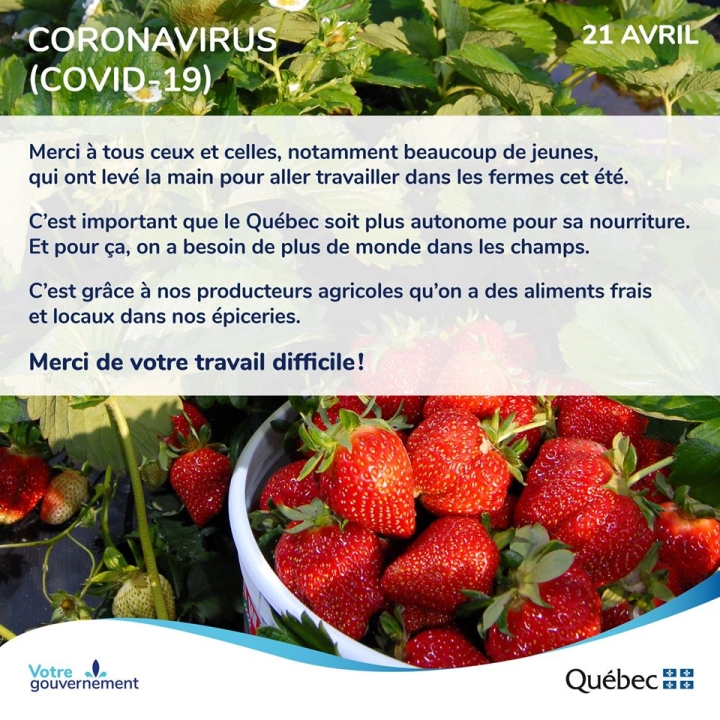 21 avril | Covid-19