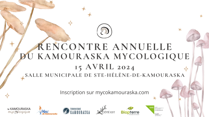 Rencontre annuelle du secteur mycologique du Kamouraska