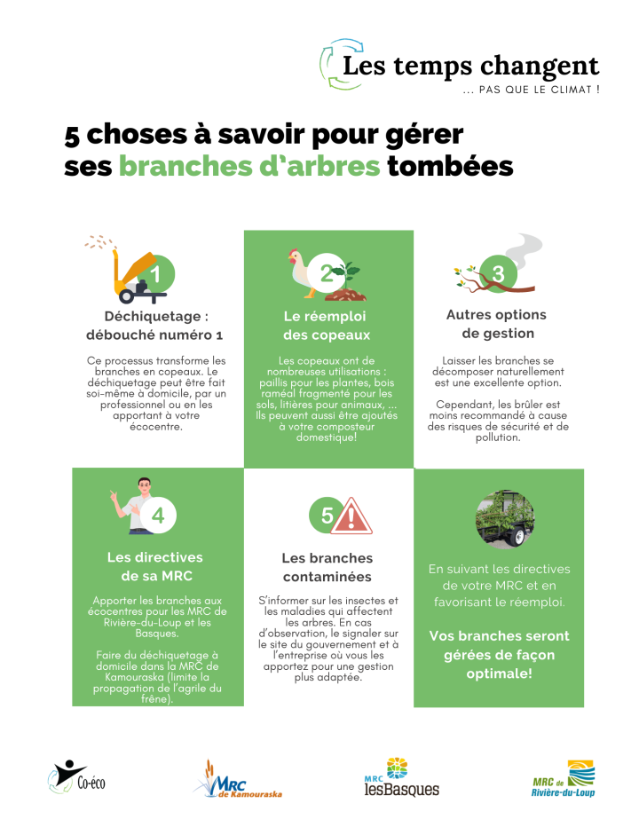 Écobulletin - Co-Éco